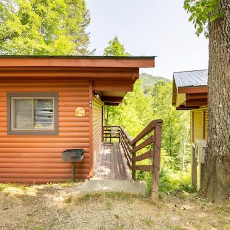 Lazy Bear Cabin Near Nantahala Outdoor Center And Bryson City Exteriér fotografie