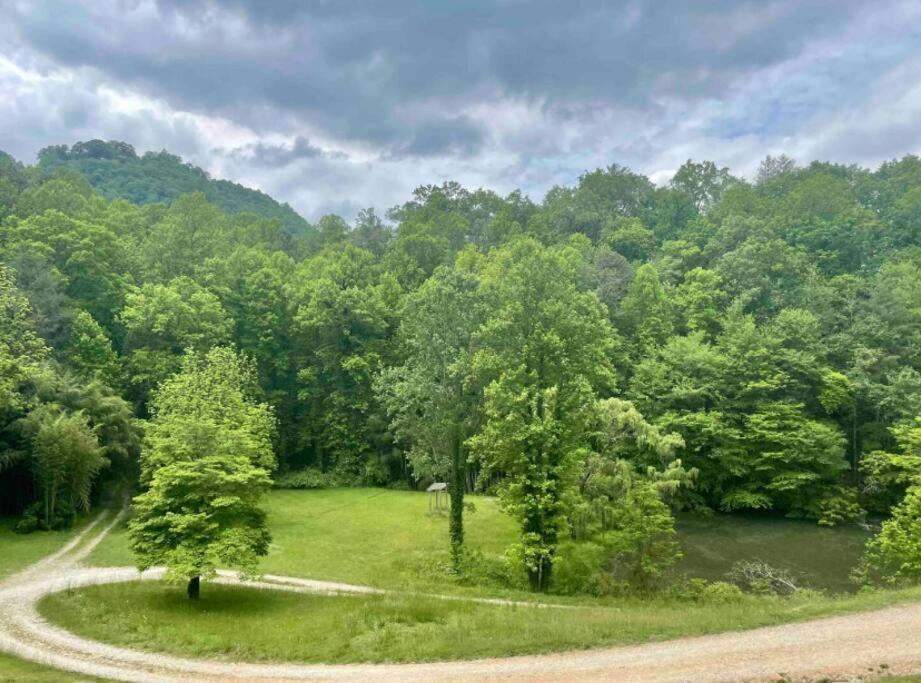 Lazy Bear Cabin Near Nantahala Outdoor Center And Bryson City Exteriér fotografie