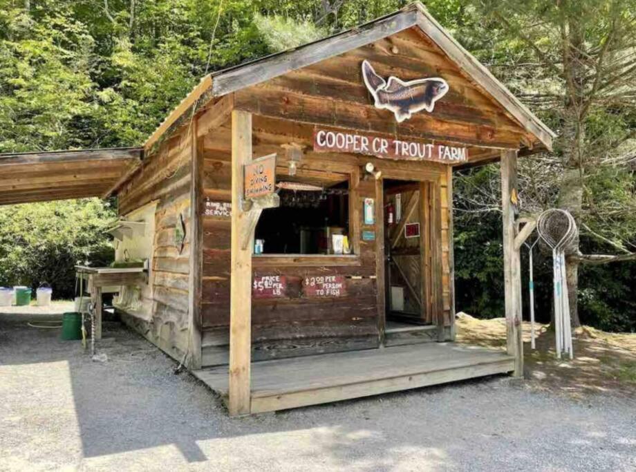 Lazy Bear Cabin Near Nantahala Outdoor Center And Bryson City Exteriér fotografie