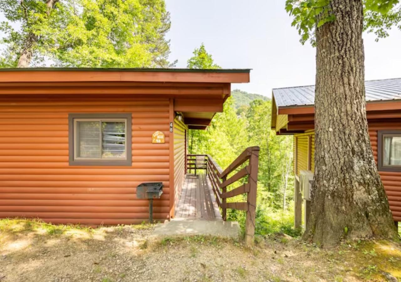 Lazy Bear Cabin Near Nantahala Outdoor Center And Bryson City Exteriér fotografie
